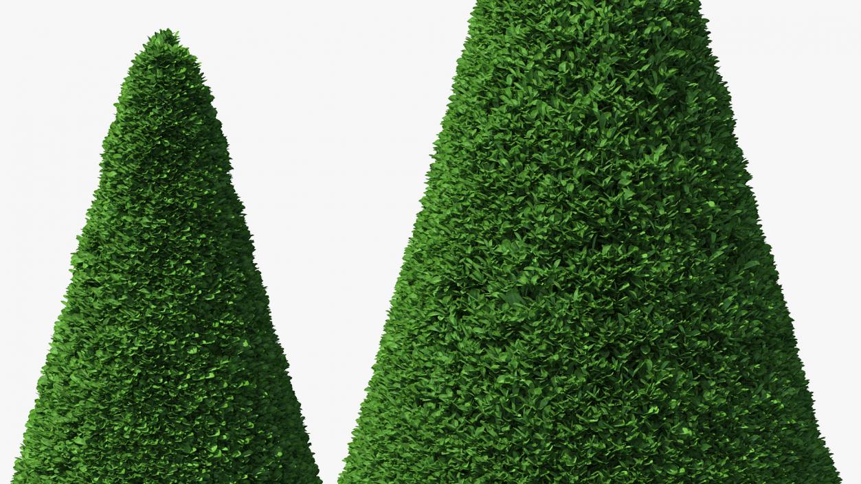 3D Topiary Garden Sculptures Collection