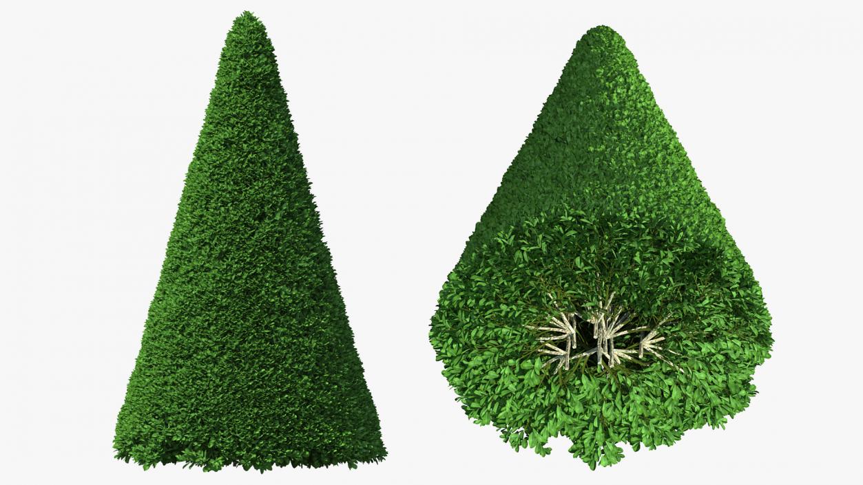 3D Topiary Garden Sculptures Collection