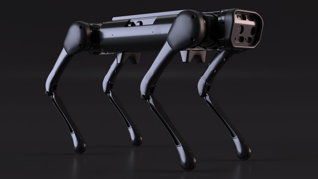 3D Rigged Robots Dog Collection model