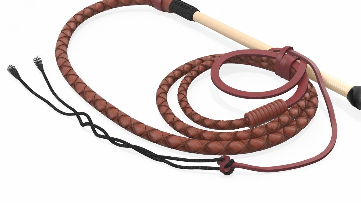 Leather Bullwhip Braided Brown 2 3D