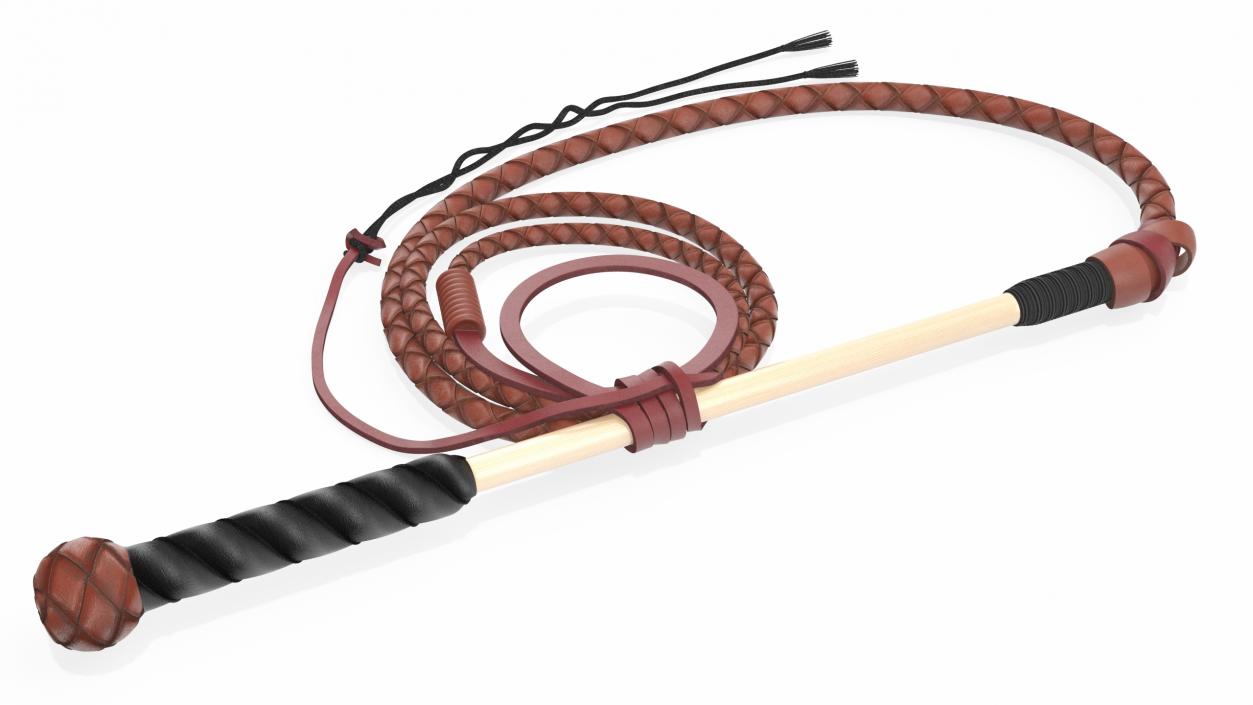 Leather Bullwhip Braided Brown 2 3D