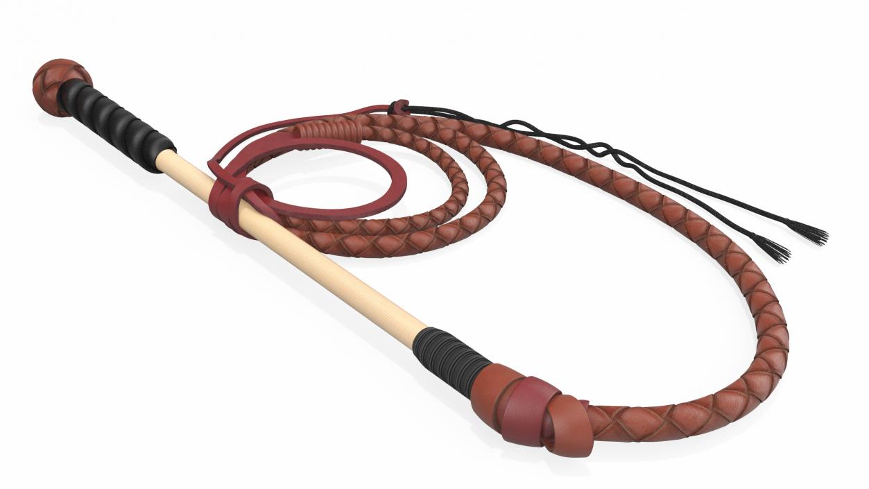 Leather Bullwhip Braided Brown 2 3D