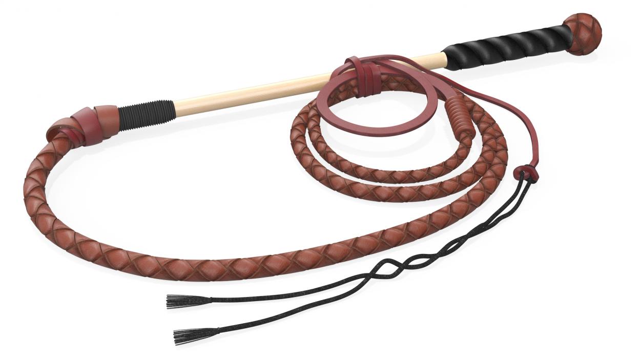 Leather Bullwhip Braided Brown 2 3D