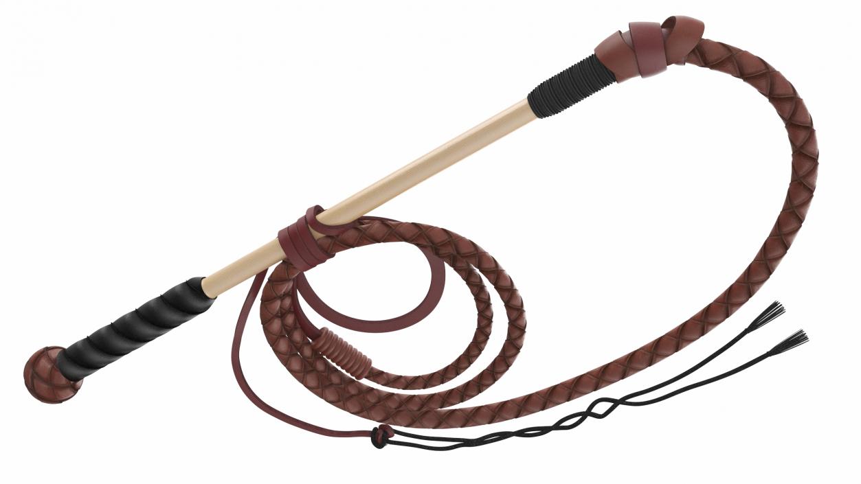 Leather Bullwhip Braided Brown 2 3D