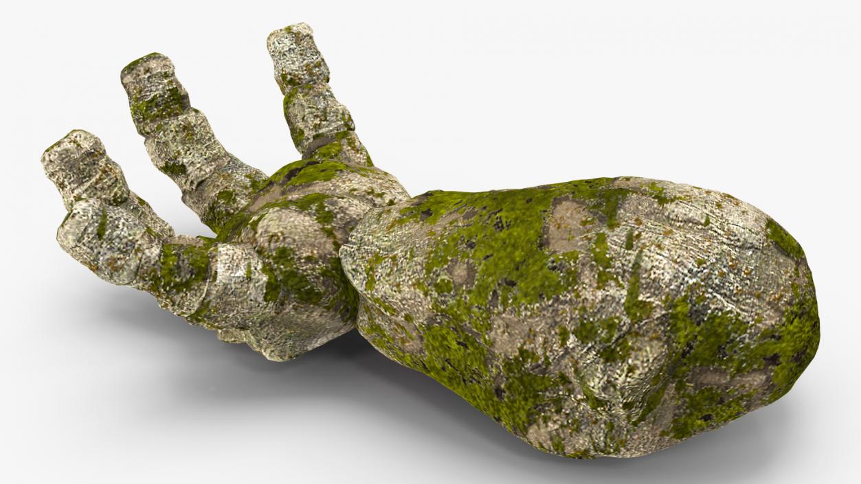 3D Stone Golem Hand