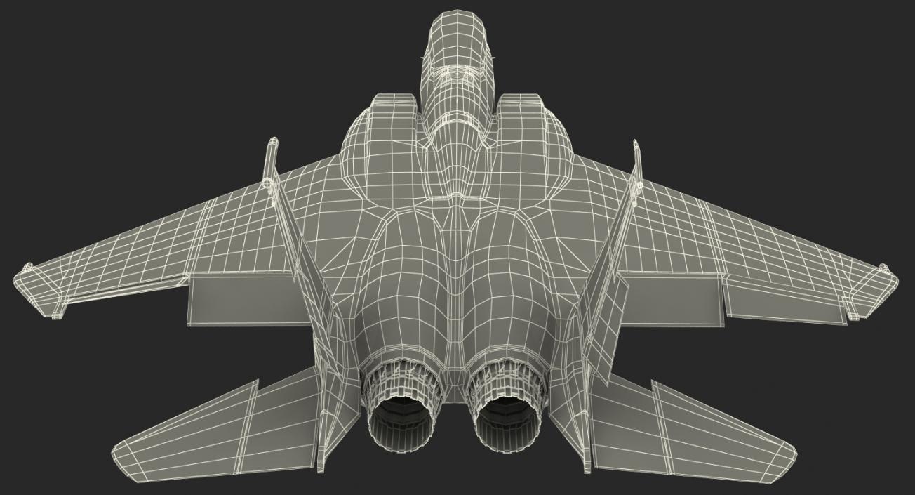 F-15 Silent Eagle Rigged 3D model