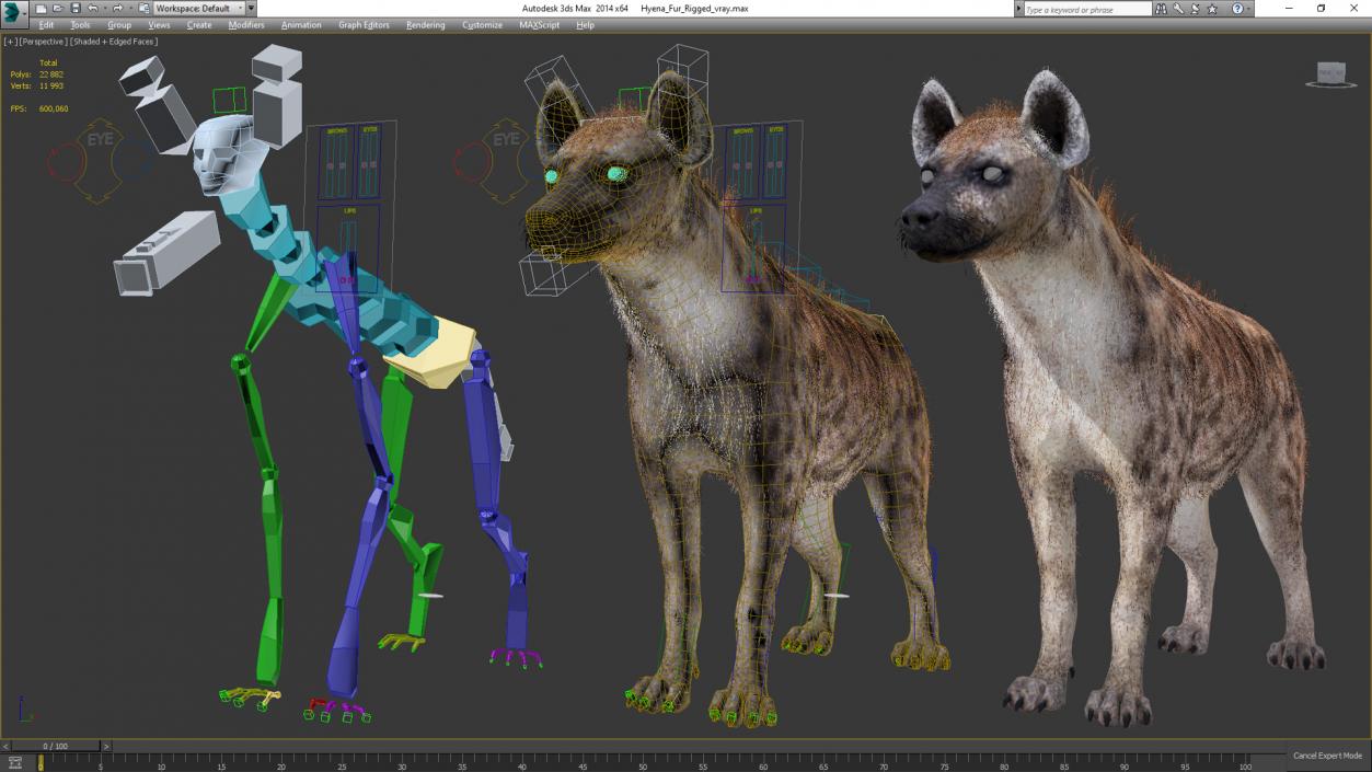 3D Hyena Fur Rigged