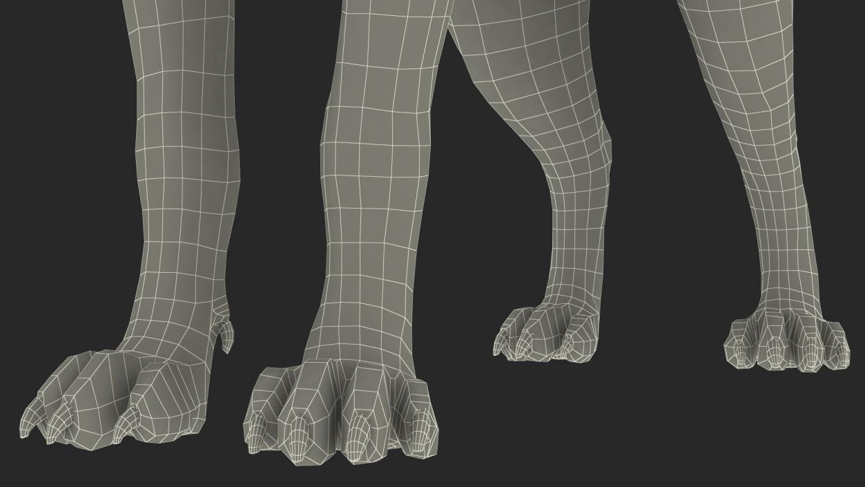 3D Hyena Fur Rigged