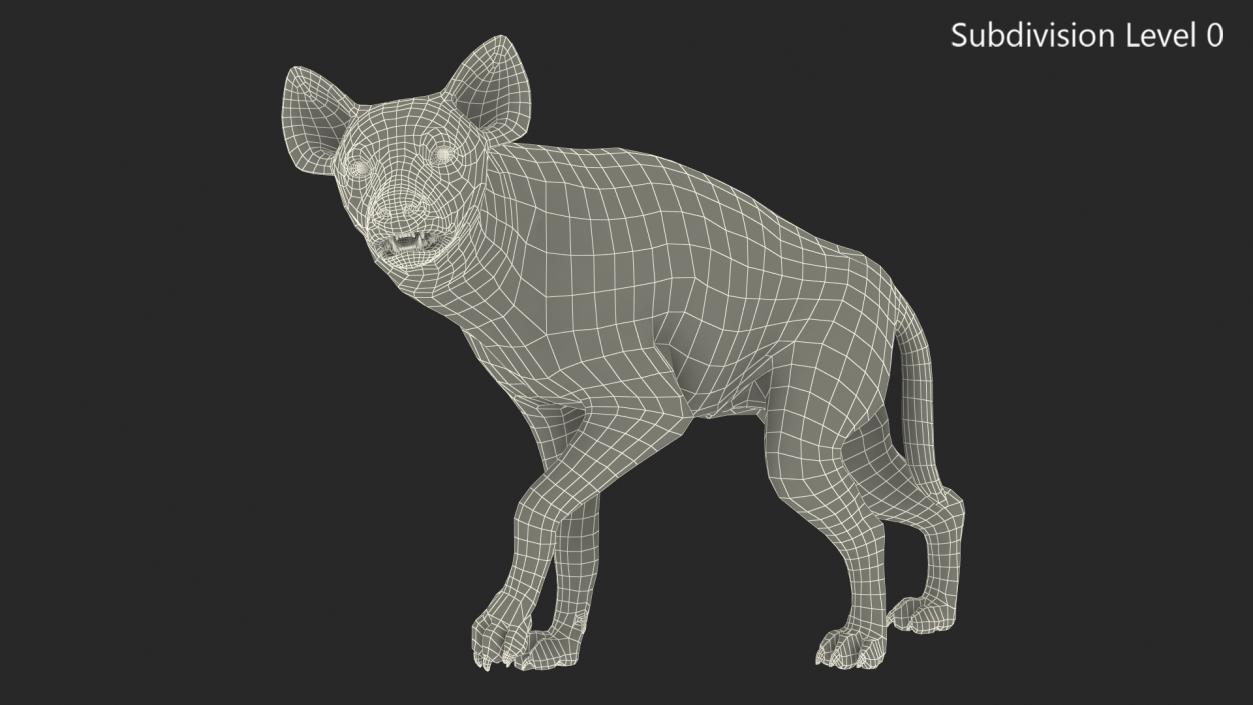 3D Hyena Fur Rigged