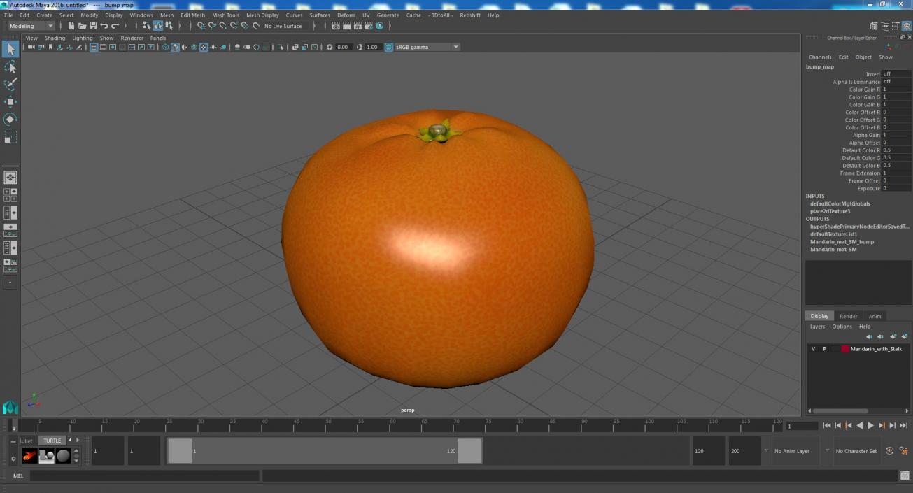 Mandarin with Stalk 3D model