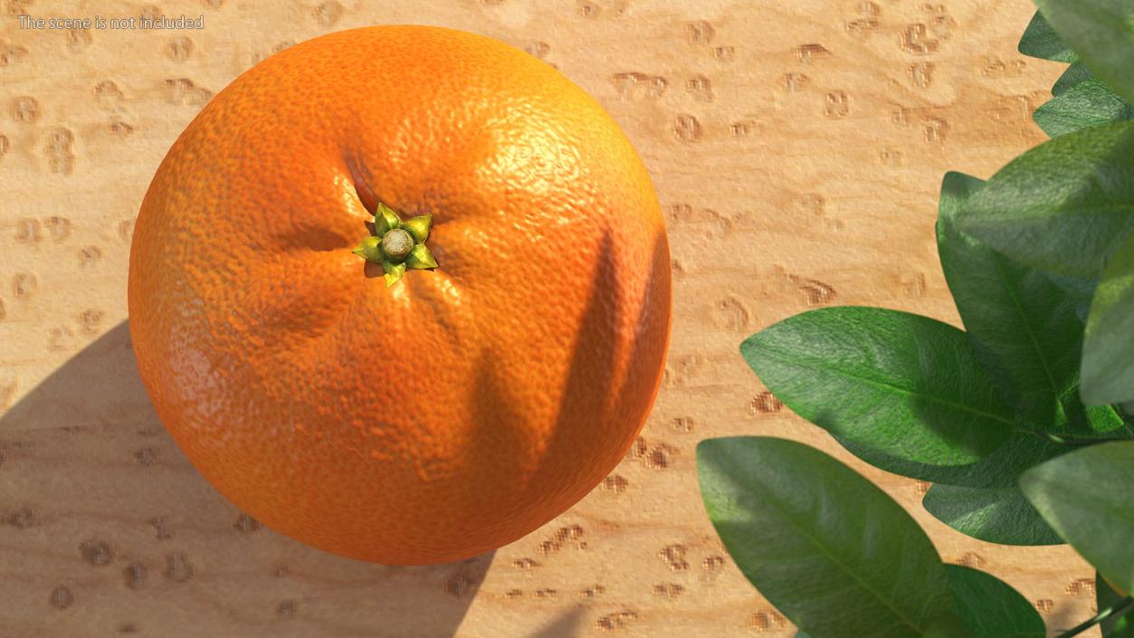 Mandarin with Stalk 3D model