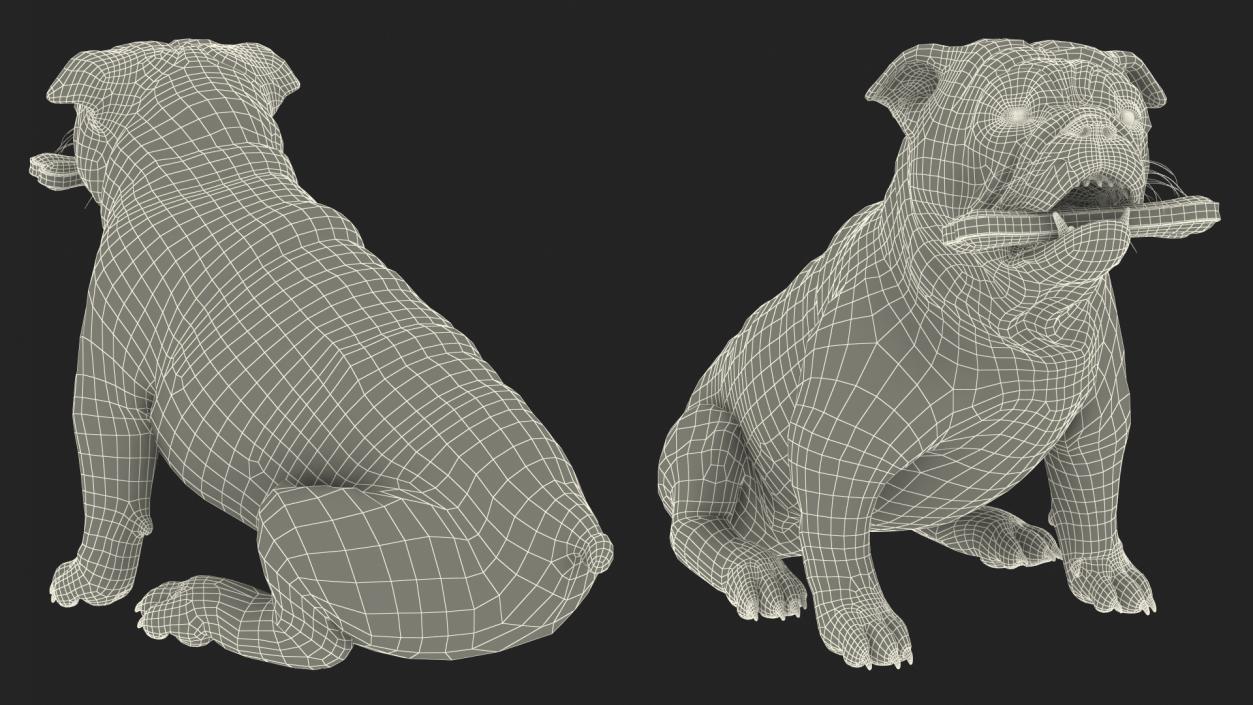 3D model Bulldog with a Chewing Bone in His Mouth