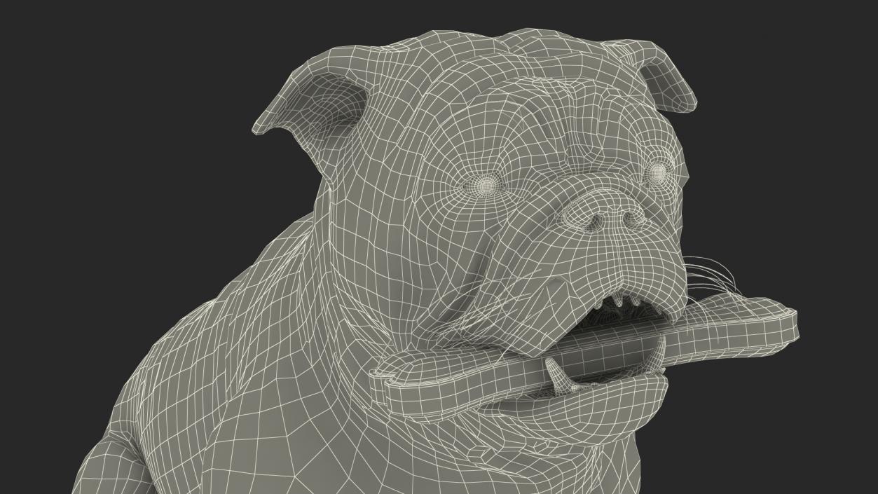 3D model Bulldog with a Chewing Bone in His Mouth