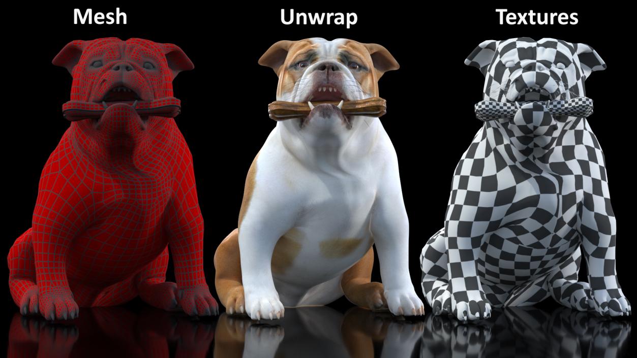 3D model Bulldog with a Chewing Bone in His Mouth