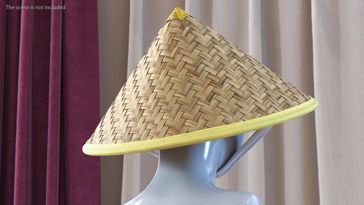 Chinese Straw Hat 3D