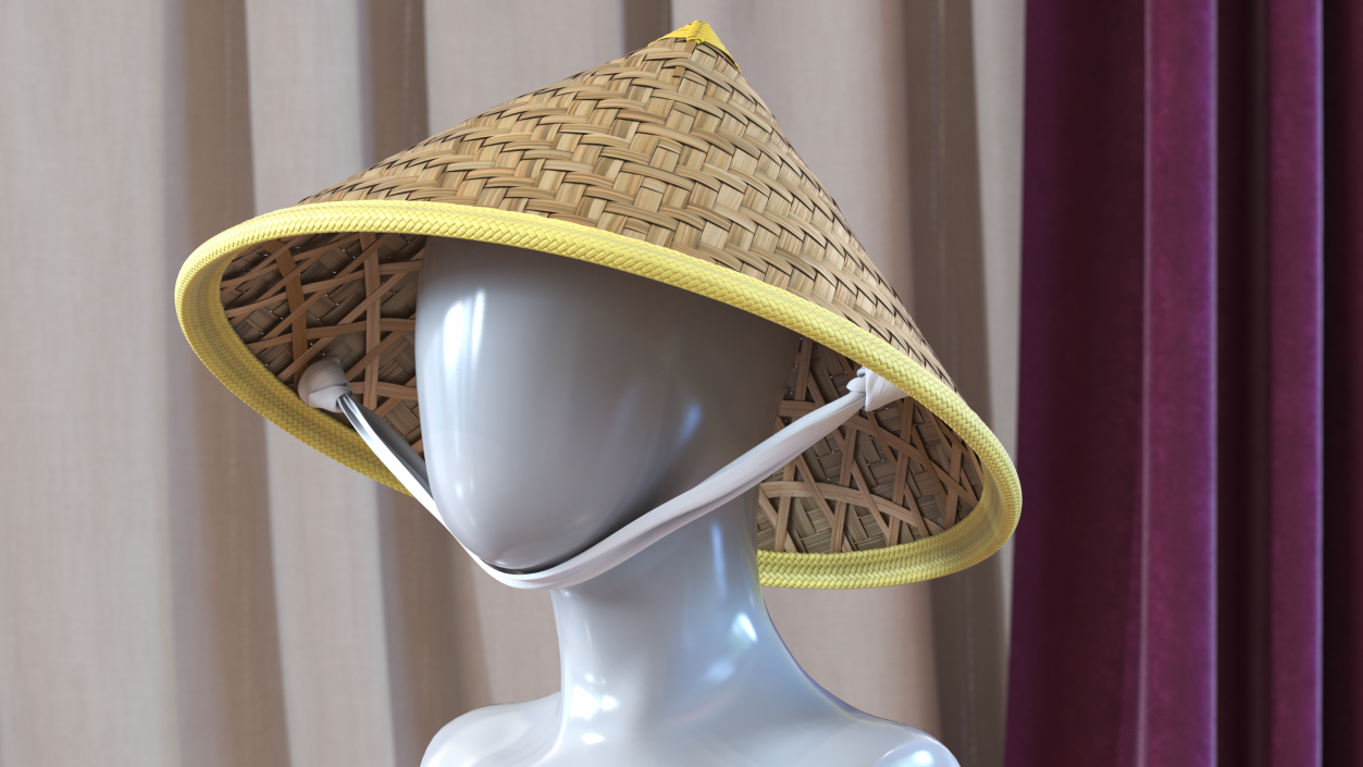 Chinese Straw Hat 3D