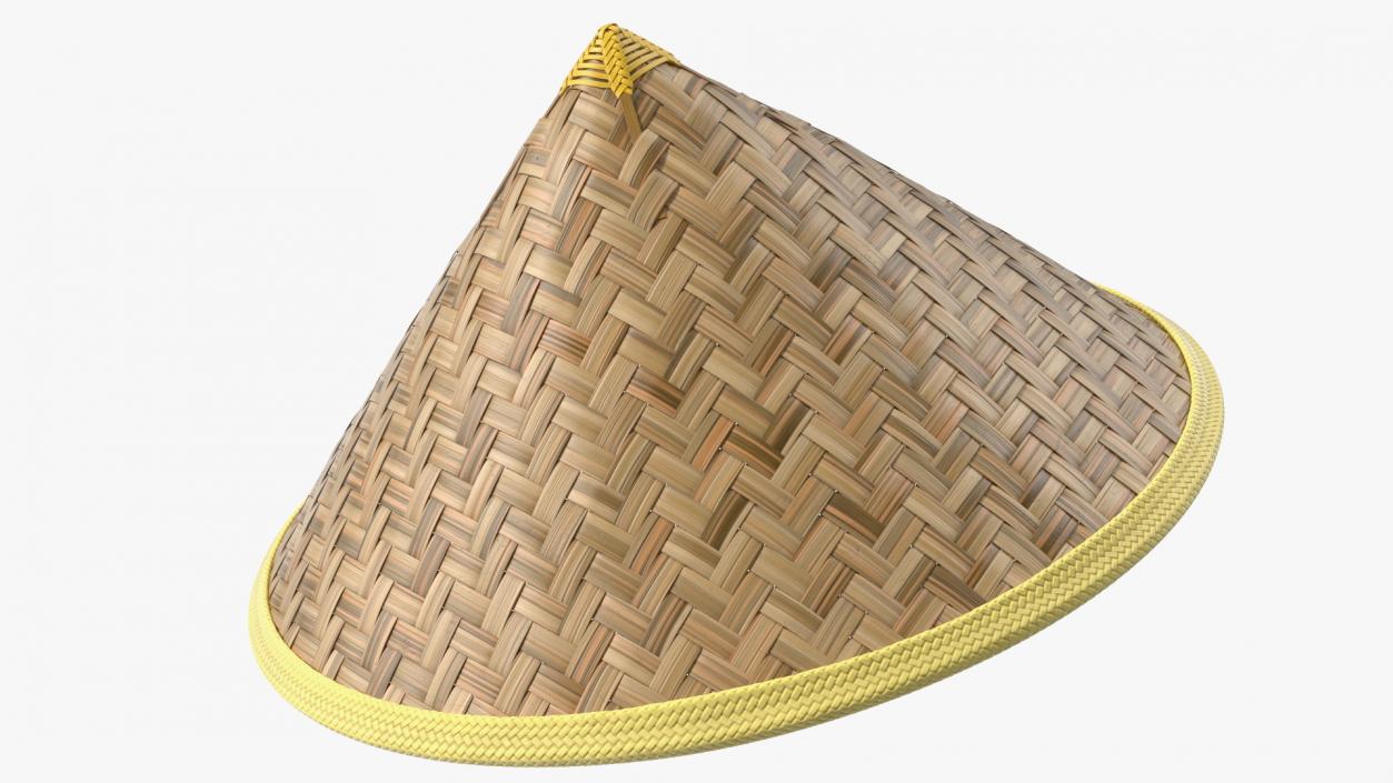 Chinese Straw Hat 3D