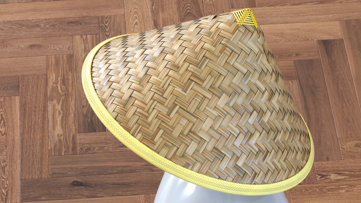 Chinese Straw Hat 3D