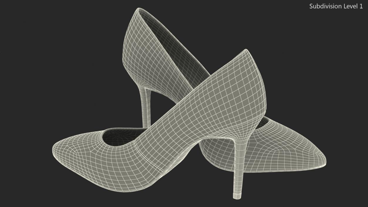 Silver Shoes 3D