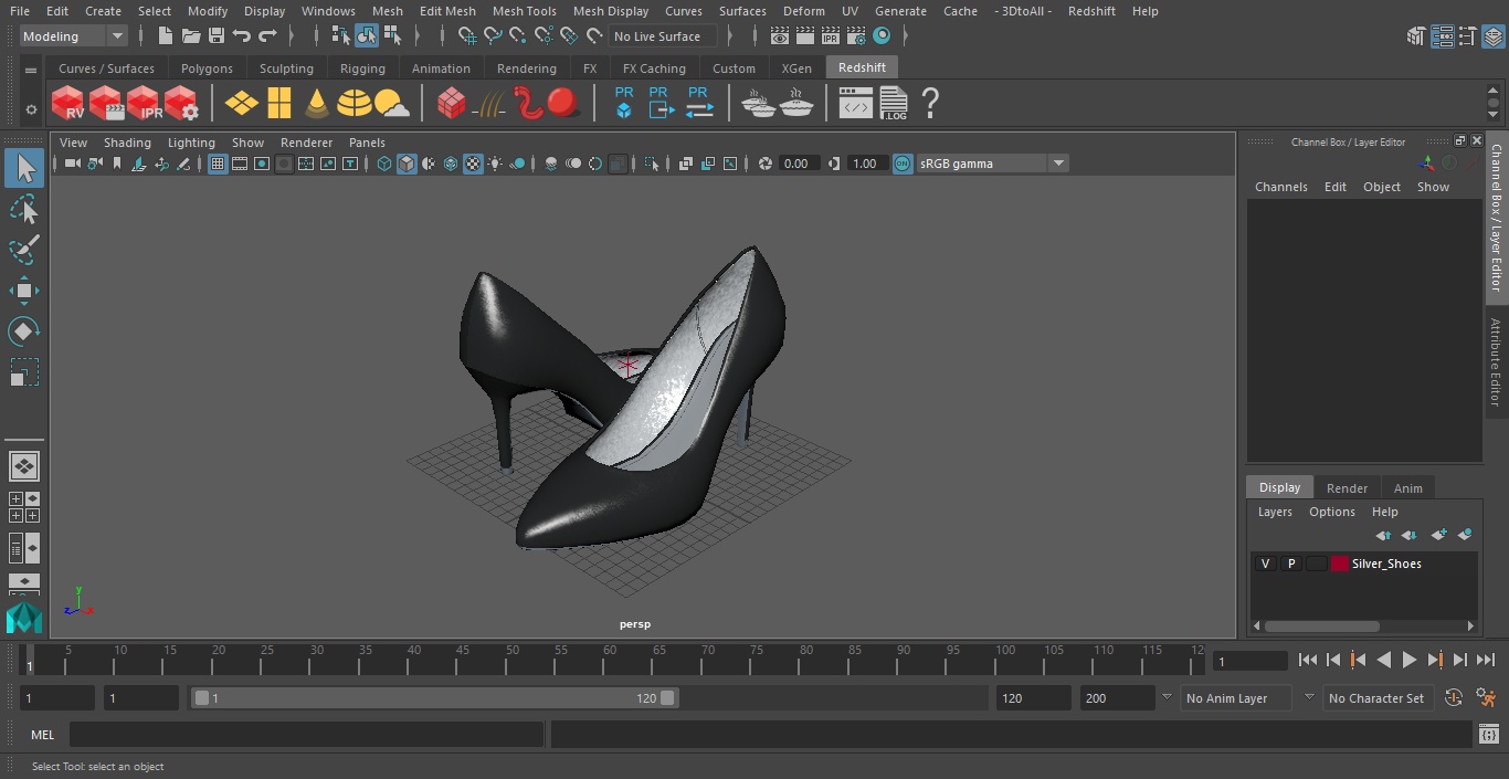 Silver Shoes 3D