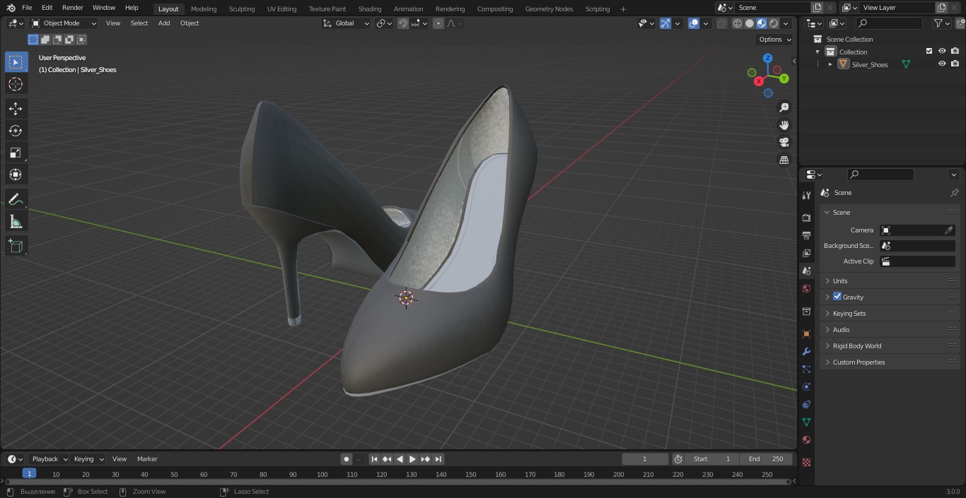 Silver Shoes 3D