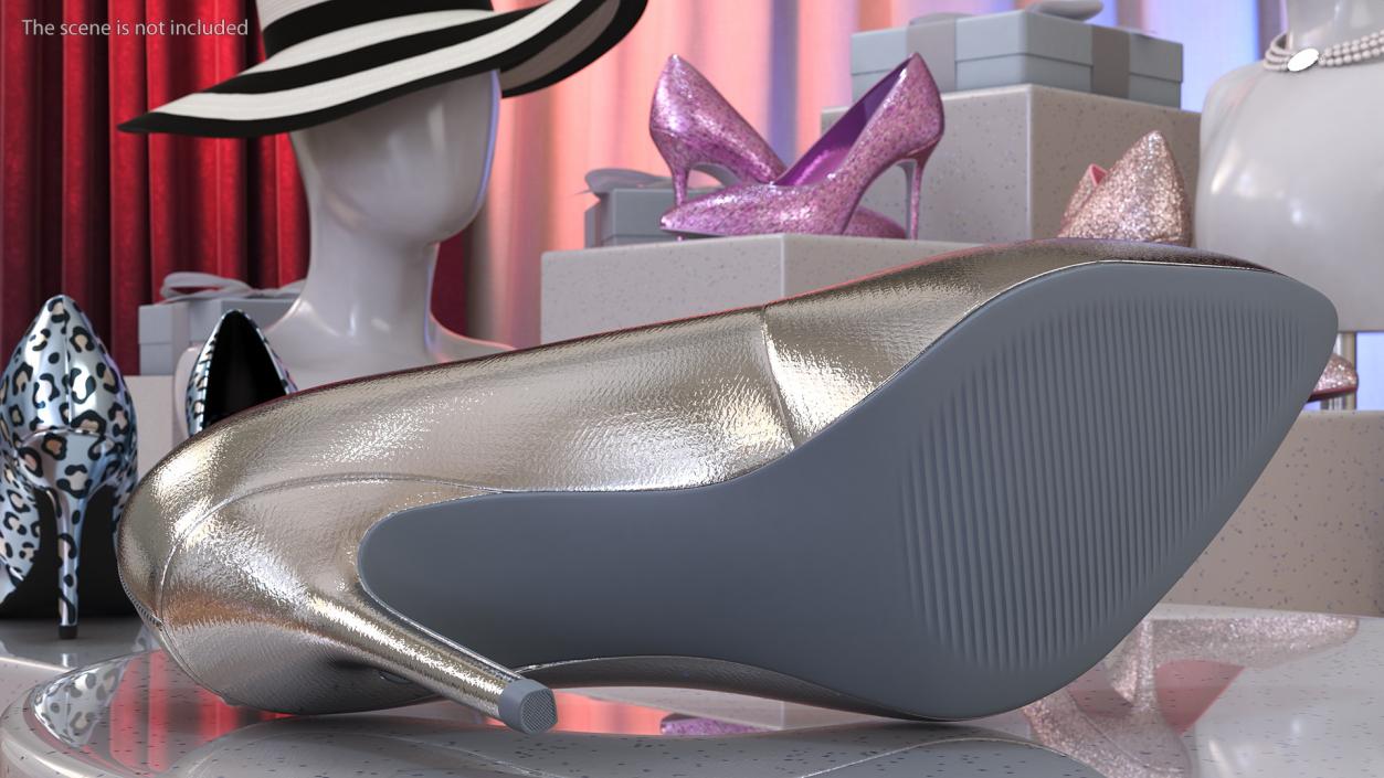 Silver Shoes 3D