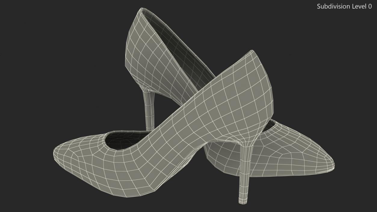 Silver Shoes 3D