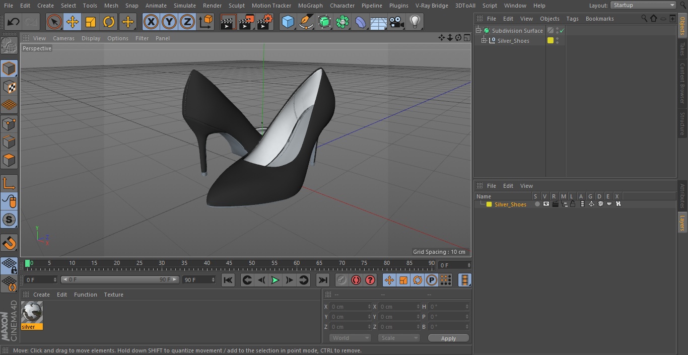 Silver Shoes 3D