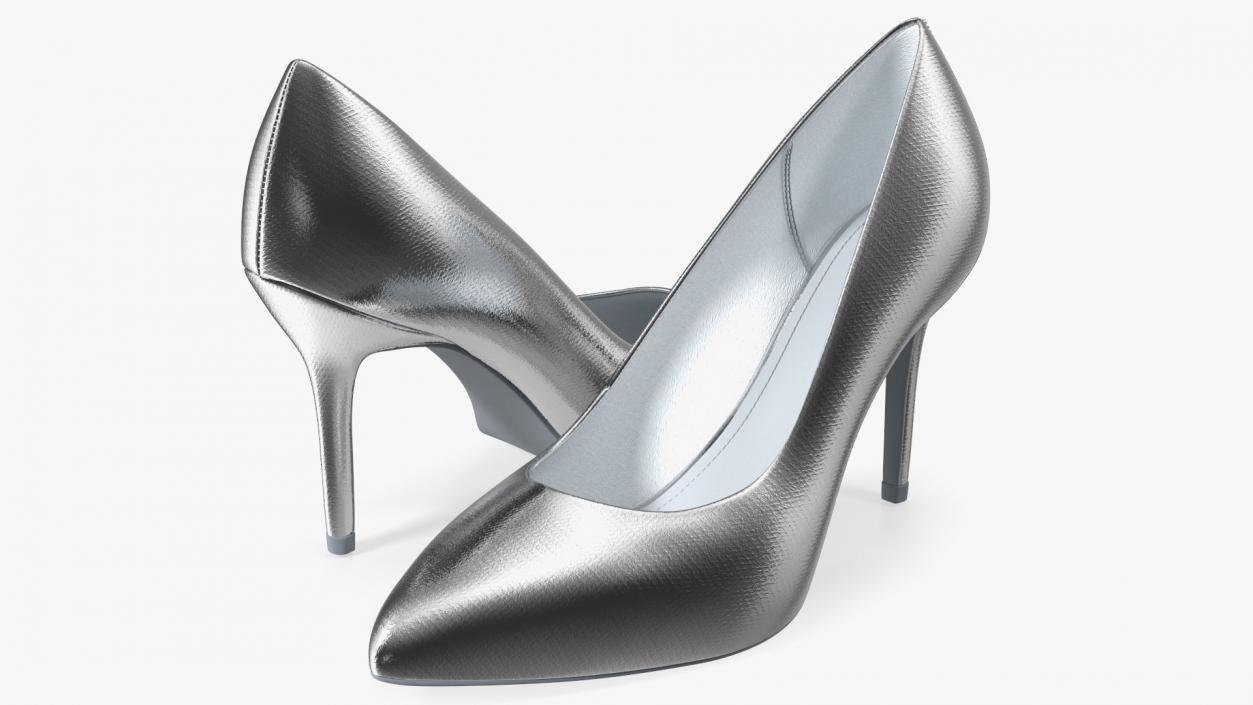 Silver Shoes 3D