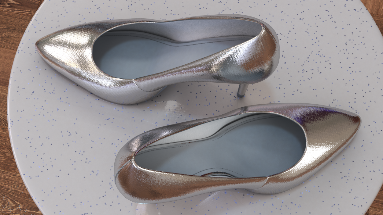 Silver Shoes 3D