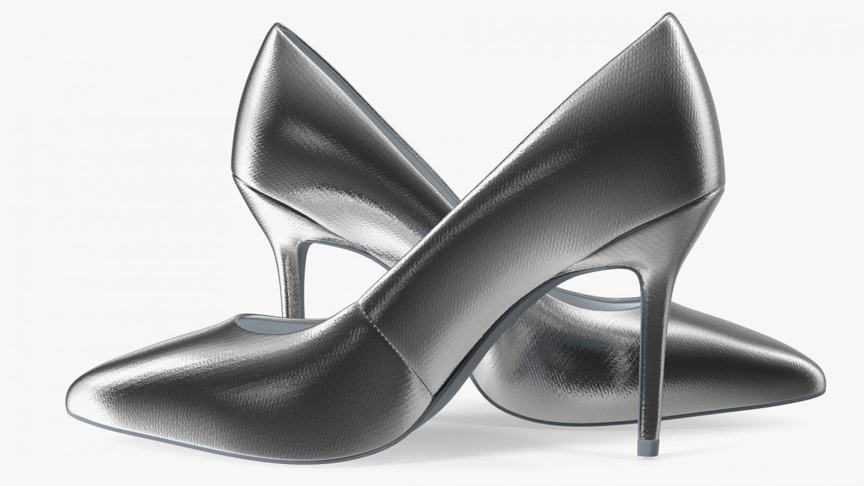 Silver Shoes 3D