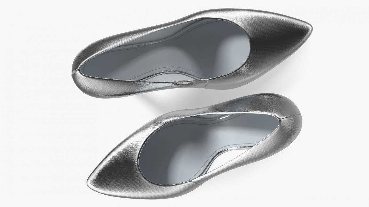 Silver Shoes 3D