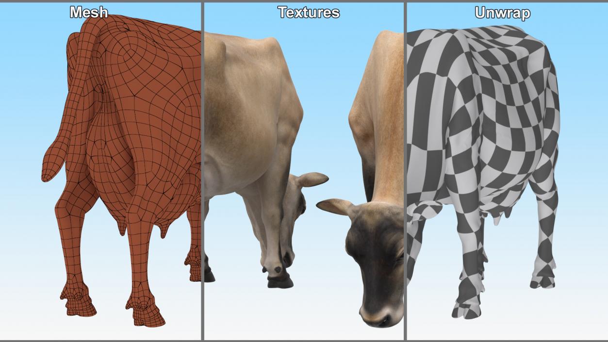 Jersey Heifer Eats Beige 3D model