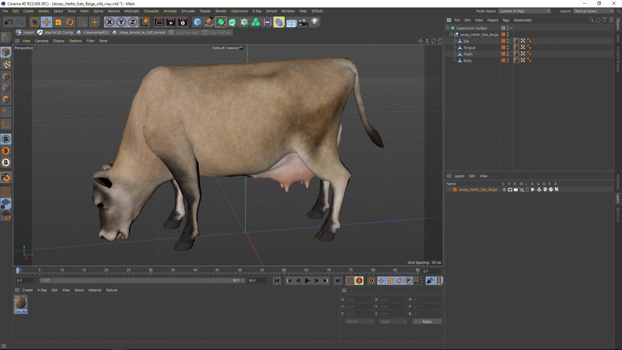 Jersey Heifer Eats Beige 3D model