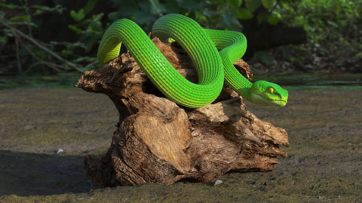 3D Hanging Trunk Green Snake Trimeresurus model