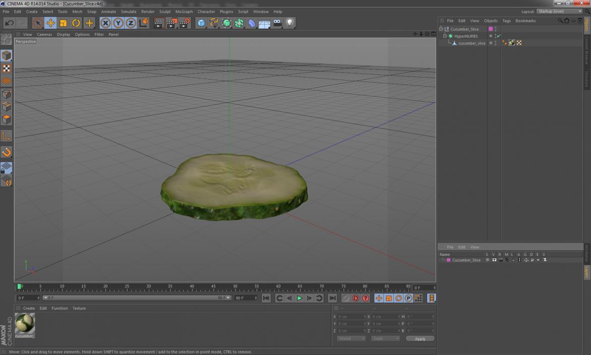 Cucumber Slice 3D model