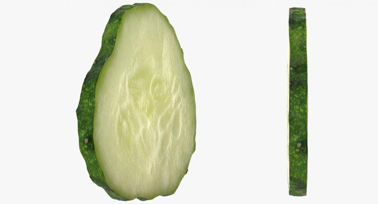 Cucumber Slice 3D model