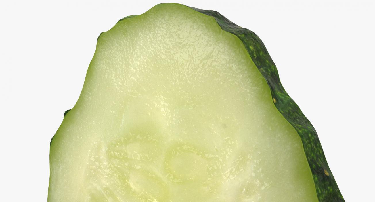 Cucumber Slice 3D model