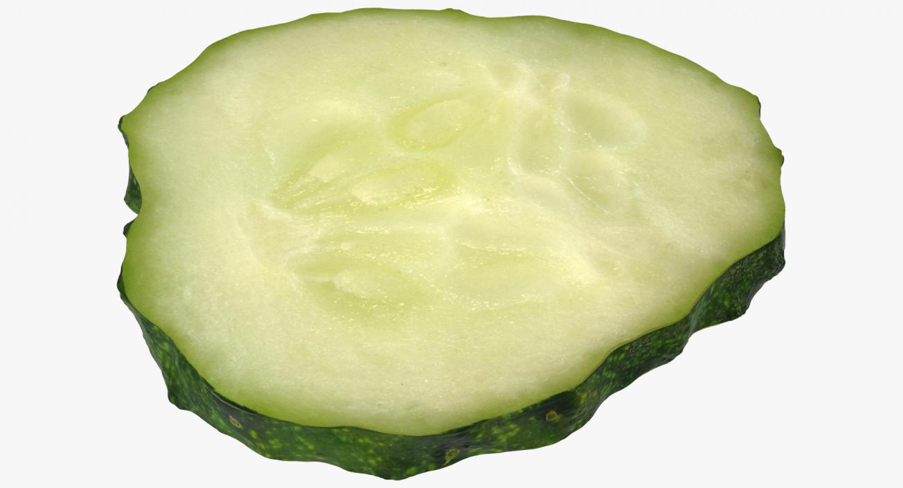 Cucumber Slice 3D model