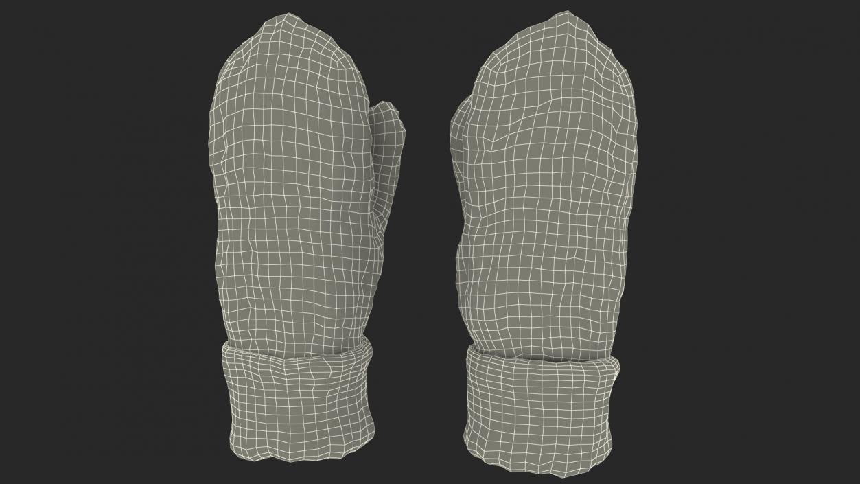 3D model Pair of Blue Wool Mittens