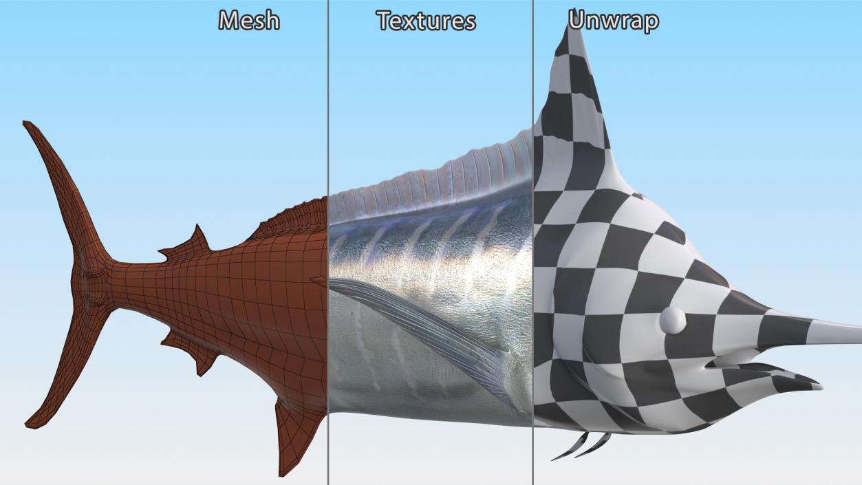 Striped Marlin Fish 3D model