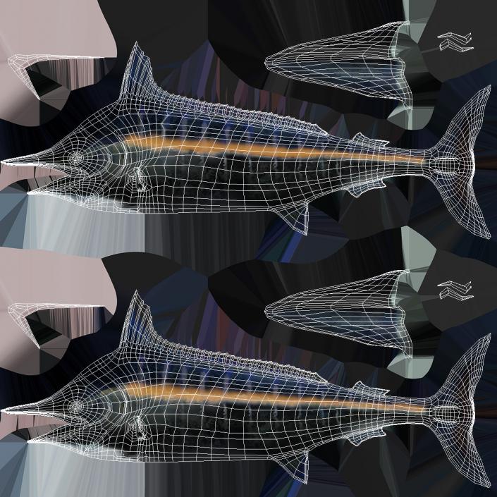 Striped Marlin Fish 3D model