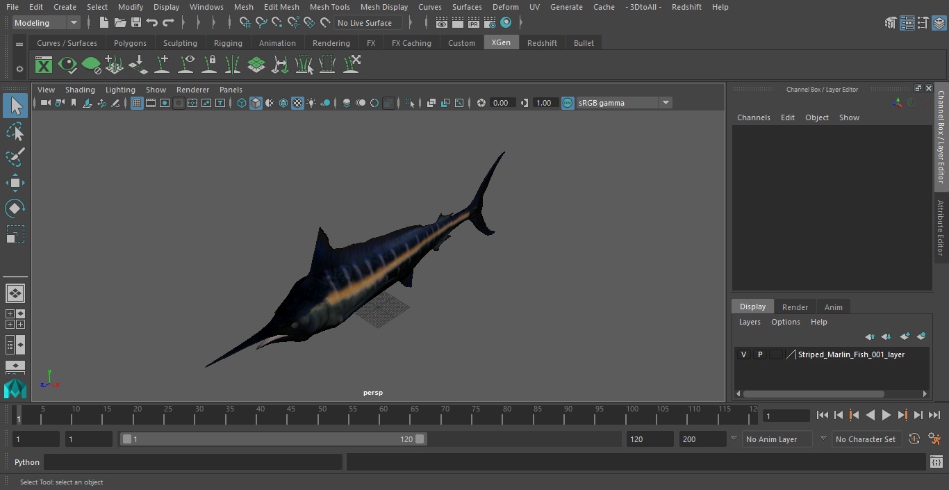 Striped Marlin Fish 3D model