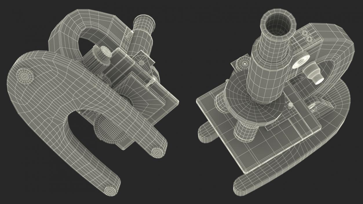 3D Laboratory Medical Teaching Microscope model