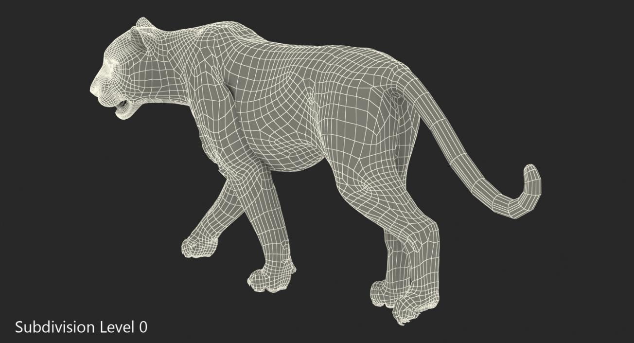 White Tiger Walkig Pose with Fur 3D