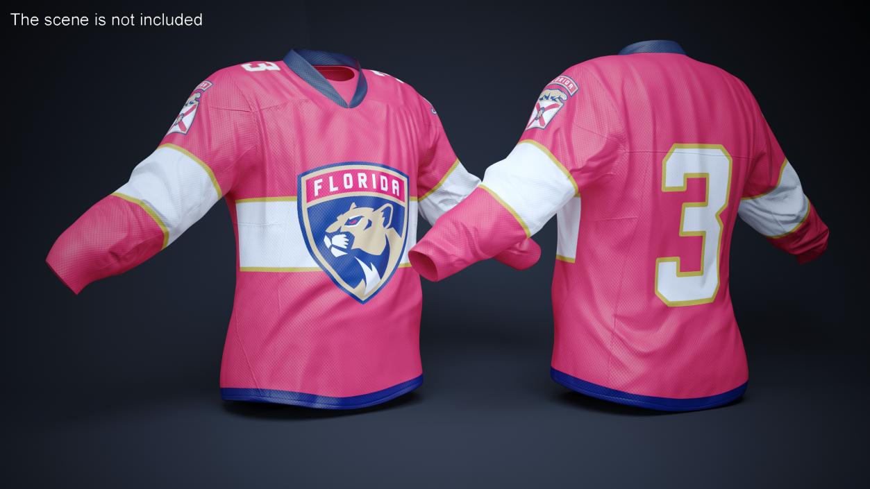 3D model Hockey Jersey Florida Panthers