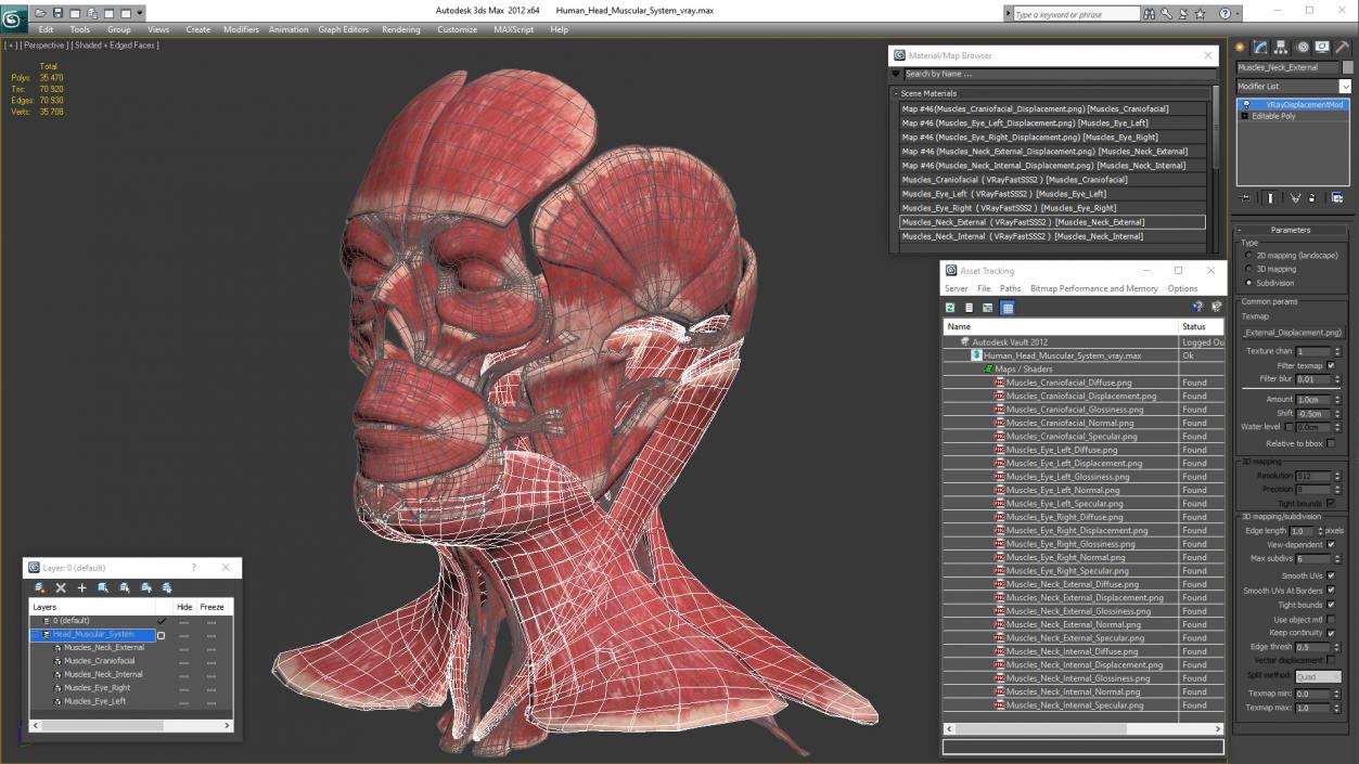 3D Human Head Muscular System