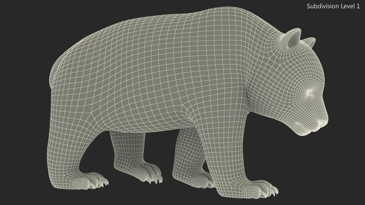 3D Giant Panda Walking Pose Fur model