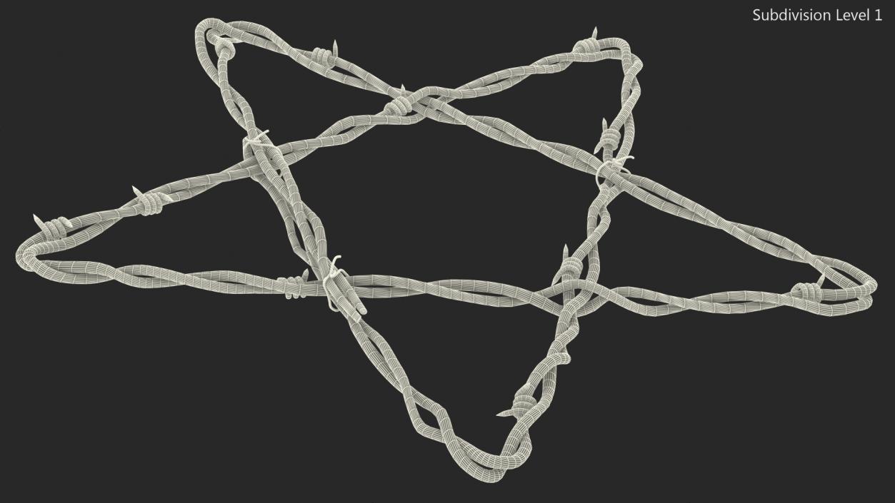 Barbed Wire Star Rusty 3D