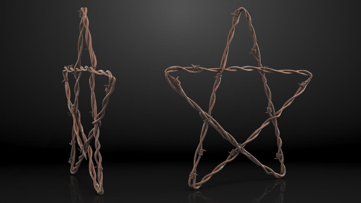 Barbed Wire Star Rusty 3D